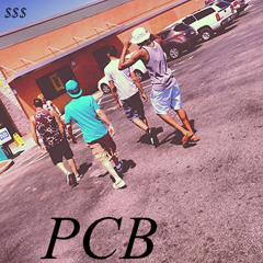 PCB (Phi & A.Gee)