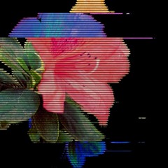 [fading out]
