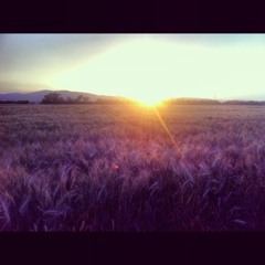 Steve Valenta - Drauf&Drüber