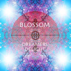 Blossom (Original Mix)