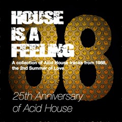 House Is A Feeling, Acid House 25th Anniversary