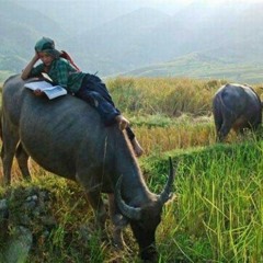 "So I heard you like beats"/ MIDI Improvisations