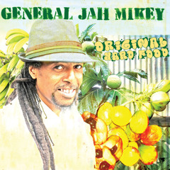 General Jah Mikey - Hard Time Pressure (2013)