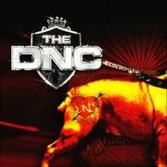 The DNC - Swing baby swing