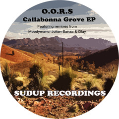 Callabonna Groove - (Dlay Remix) - Callabonna Groove EP - Sudup Recordings