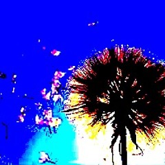 I)Cascao - Thirty Century Fireworks