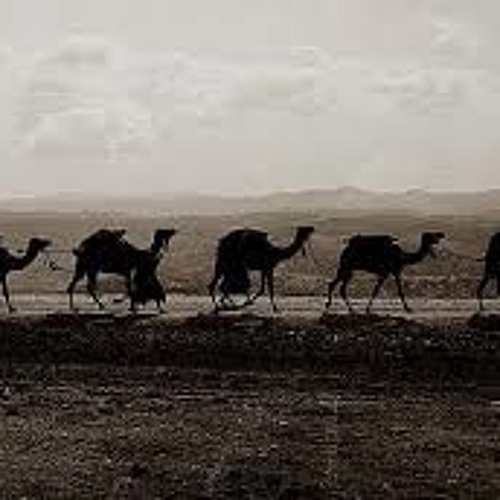 * عديد الجماله *مقتبس منها موسيقى فيلم الهروب