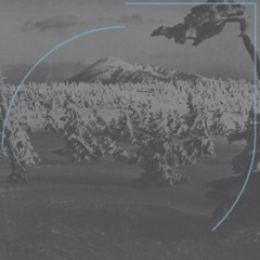 Acid Mothers Temple & The Melting Paraiso UFO  "Space Speed Suicide"  IMPREC383 CD/2LP