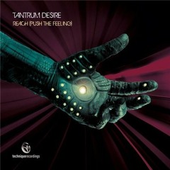 Tantrum Desire - Reach [Push The Feeling]