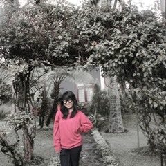 i will fly-the one that got away(kerecord-_-)