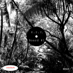 K.S.Y. - Board #1 (Original Mix) - OUT NOW!!!