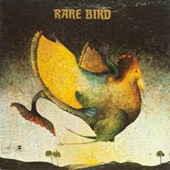 Rare Bird _Sympathy_ Draff II Remix