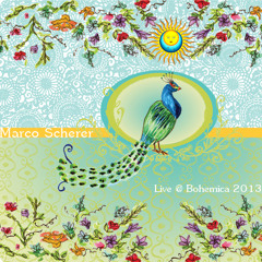 Marco Scherer (BMSS Records) - Live @ Bohemica