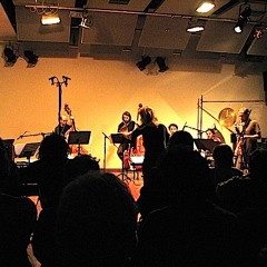 Ana-Maria Avram: Textures Liminales ( Israel Version) for ensemble and computer sounds