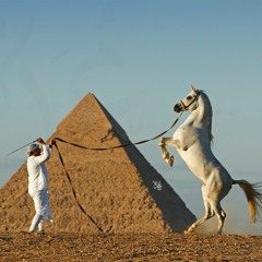 محمد محسن_ من زمان