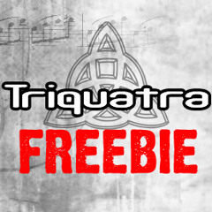UFO and Ramos - Ravechief (Triquatra Remix) (Free Track 2013)