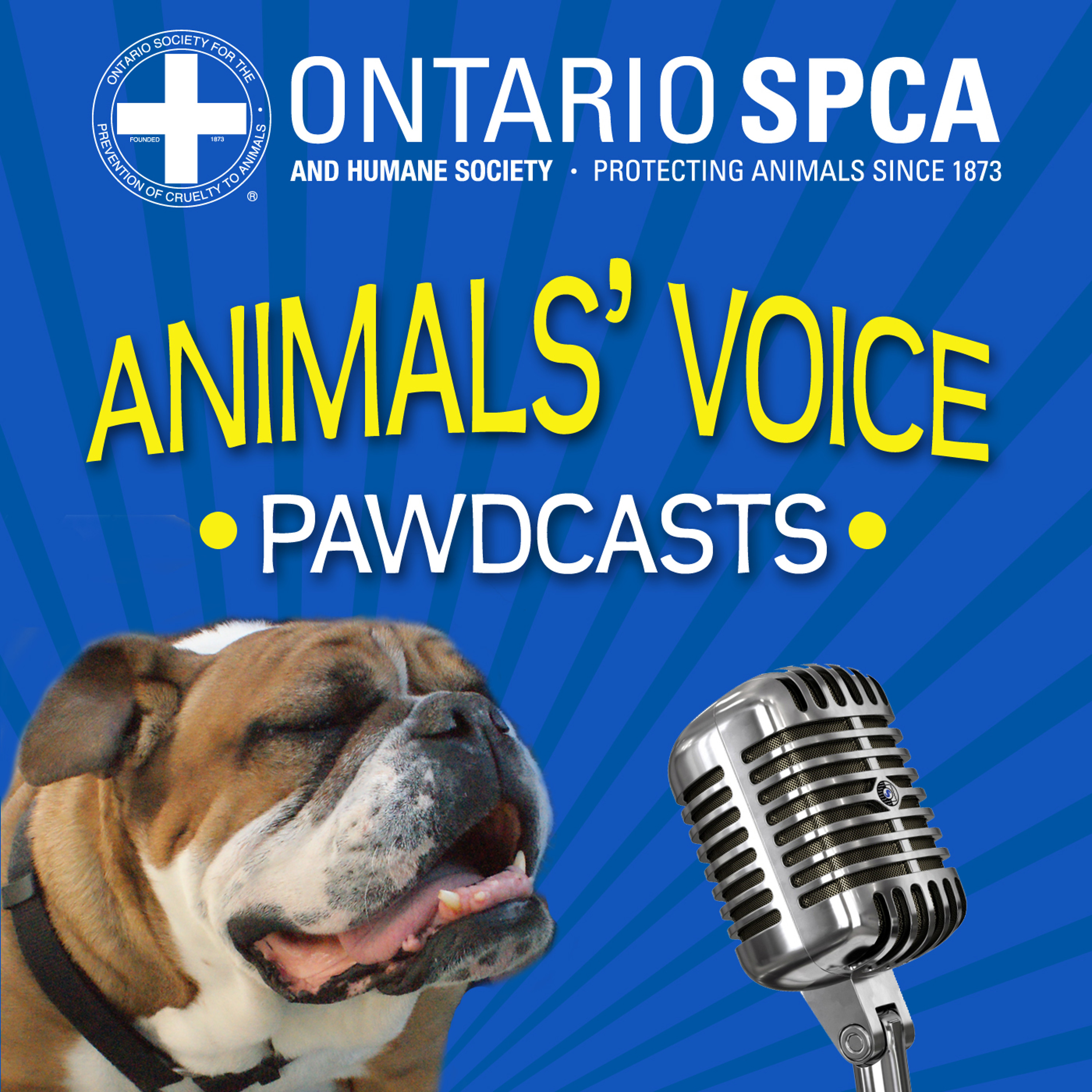 Animals\' Voice Pawdcast - Season 1