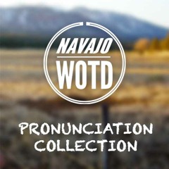 Introduction Example in Navajo
