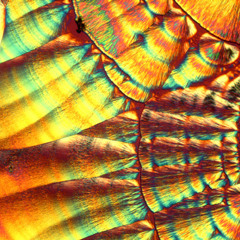 live session with ibatan & marlene magnoli