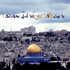 الشاعرة الشابة رقية سامى و قصيدة .. موعدنا عند الكأس
