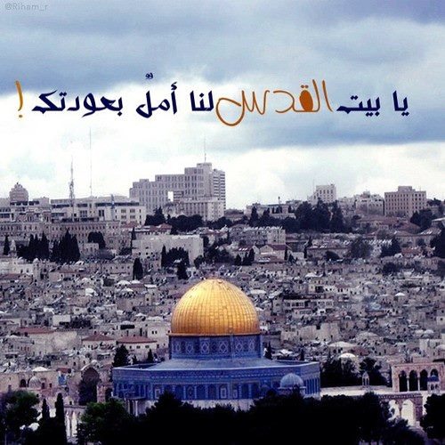 الشاعرة الشابة رقية سامى و قصيدة .. موعدنا عند الكأس