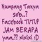 Dian P - Mengapa Tak Pernah Jujur
