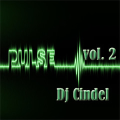 Feel The Pulse Vol.2 (Dj Cindel Series Mix)