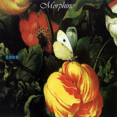 Morphine, You look like rain  (Escape to Venus Remake)