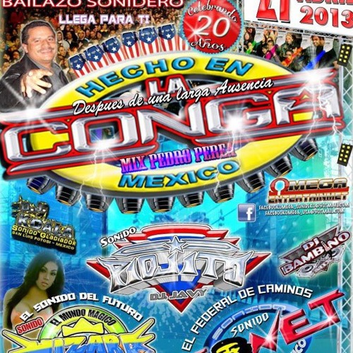 SONIDO LA CONGA EN EL SARAPE ELKHART IN 2013