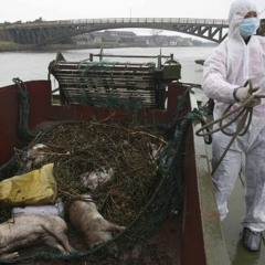 PRV - Sin nombre (Mastered by Jelfstar)