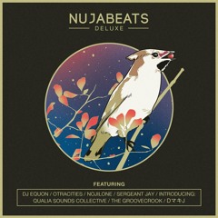The Nu-jazz Lover (pt. 2) (from Nujabeats Deluxe)