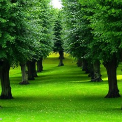 رعد کەرلوکی تقلید علی جابری