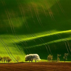 Acoustic cafe - Long long ago