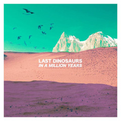 Honolulu - Last Dinosaurs (Acoustic Cover)