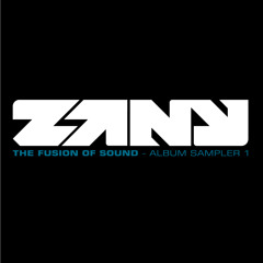 Zany - Evolution (feat. Harmonik)
