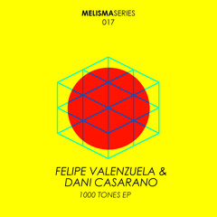 Felipe Valenzuela & Dani Casarano - 1000 Tones (Original mix) :: Melisma 17