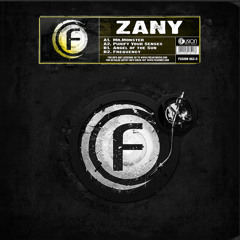 Zany - Angel Of The Sun