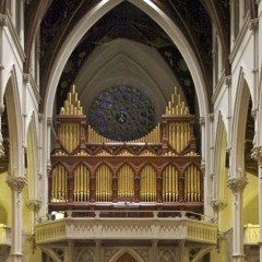 Improvisation on Lauda An­i­ma