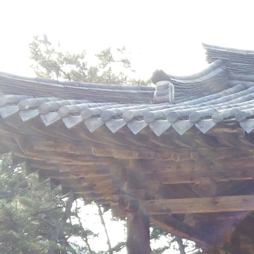 Theme 4. Melody Of Love at 숙명 가야금 연주단