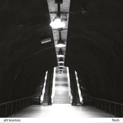 Ah! Kosmos - Melting Into Rise | Flesh EP
