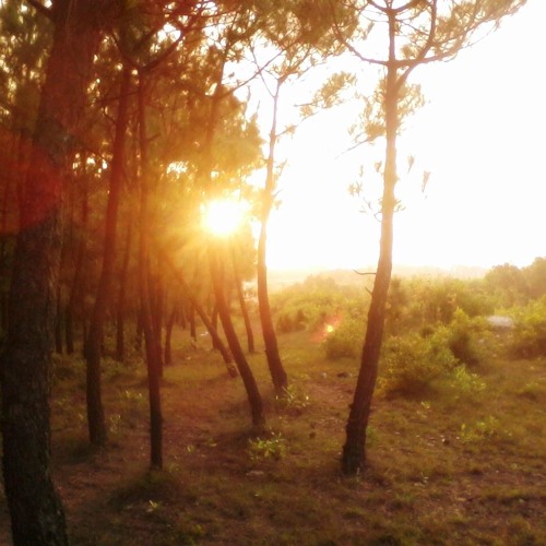 Sau lưng là vạt nắng