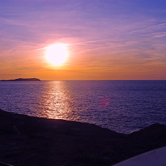 The Slippery Fish mix