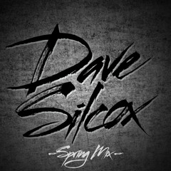 Dave Silcox Spring 2013 Mix