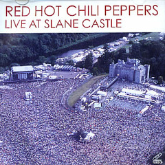 Universally Speaking Live At Slane Castle - Red Hot Chili Peppers [Guitar Cover]