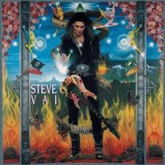 Steve Vai-For The Love Of God(cover)