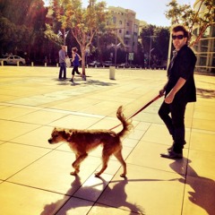 בסוף מתרגלים להכל.. טל פליישר מבצע את דודו טסה