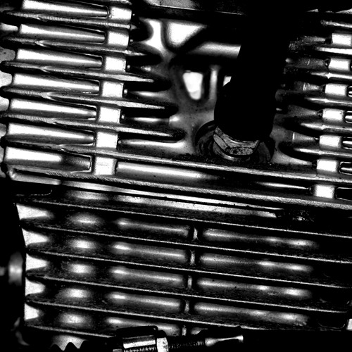 ELECTRIC SET - COYOTE