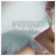 PANTyRAiD - That's The Spot - PillowTalk