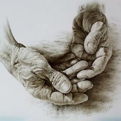 Metamorphosis