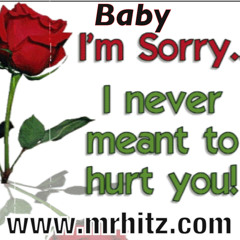Baby I'm Sorry